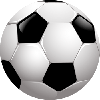 明尼蘇達(dá)森林狼