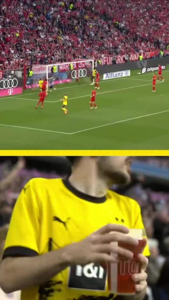 勇者無(wú)懼！這是真多特球迷！在拜仁球迷區(qū)一個(gè)人肆意慶祝！